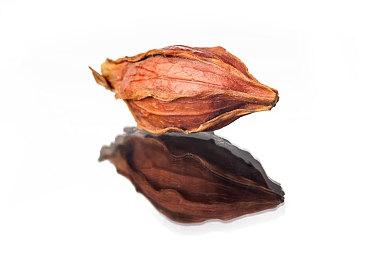 童话动作RPG《Ravenlok》发售日及预购预告 5月4日上线